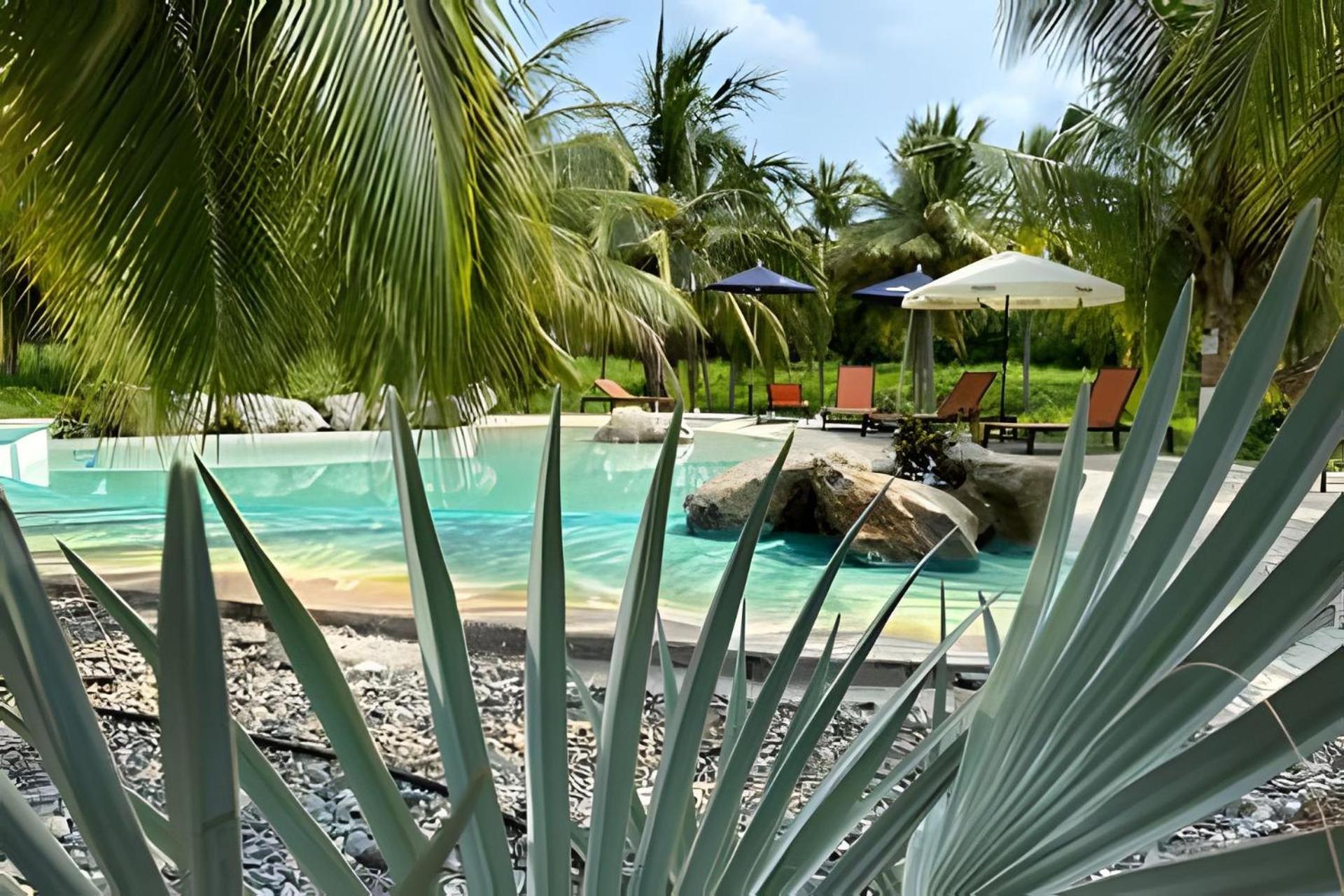 Casa Las Palmas Playa La Saladita シワタネホ エクステリア 写真