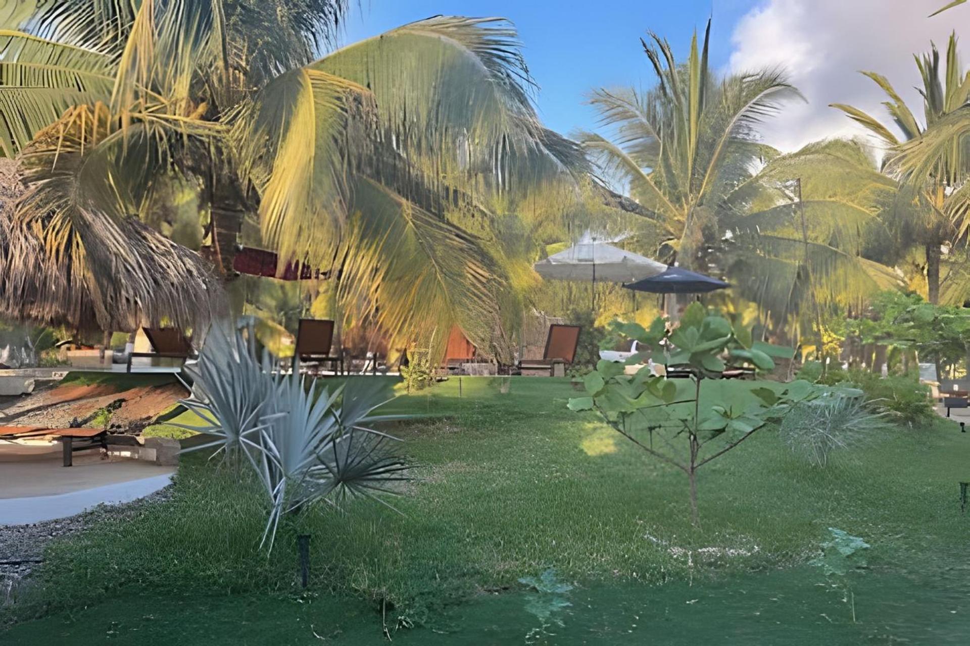 Casa Las Palmas Playa La Saladita シワタネホ エクステリア 写真