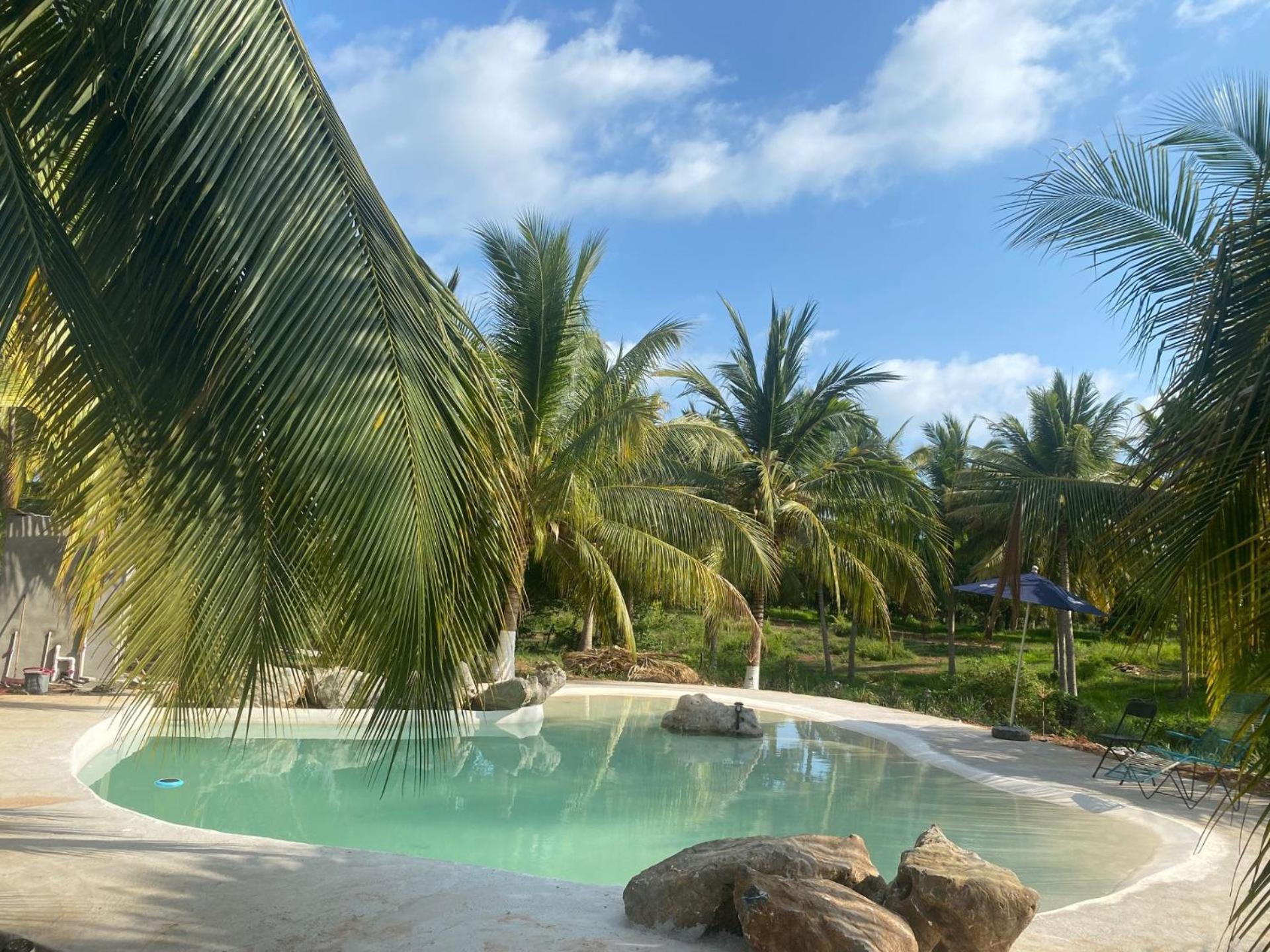 Casa Las Palmas Playa La Saladita シワタネホ エクステリア 写真